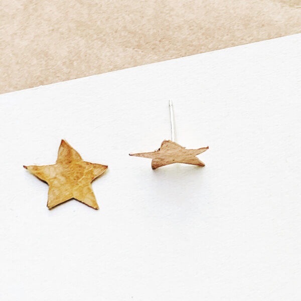 Bronze Star Stud Earrings